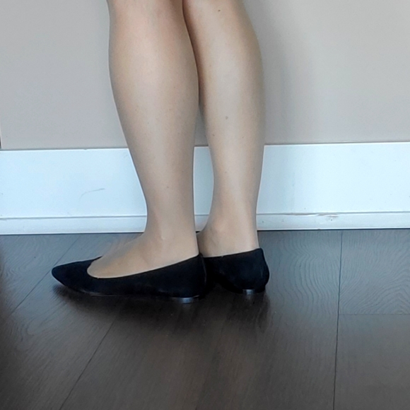 ๐ 2X HOST PICK ๐ Sam Eldman Pointy Toe Ballerina Flats - Picture 6 of 15
